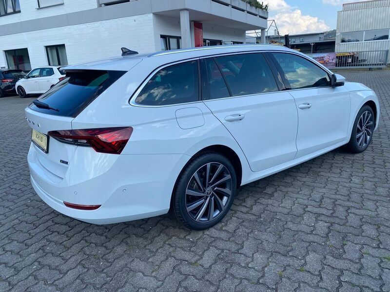 Gebraucht Skoda Octavia 150 PS (110 kW) 2023 Moonweiss metallic Kombi