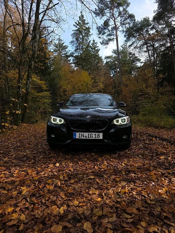 Schwarz Gebraucht 2014 BMW 220 Coupé | 12.000 € (Fairer Preis) - Bild 1/4