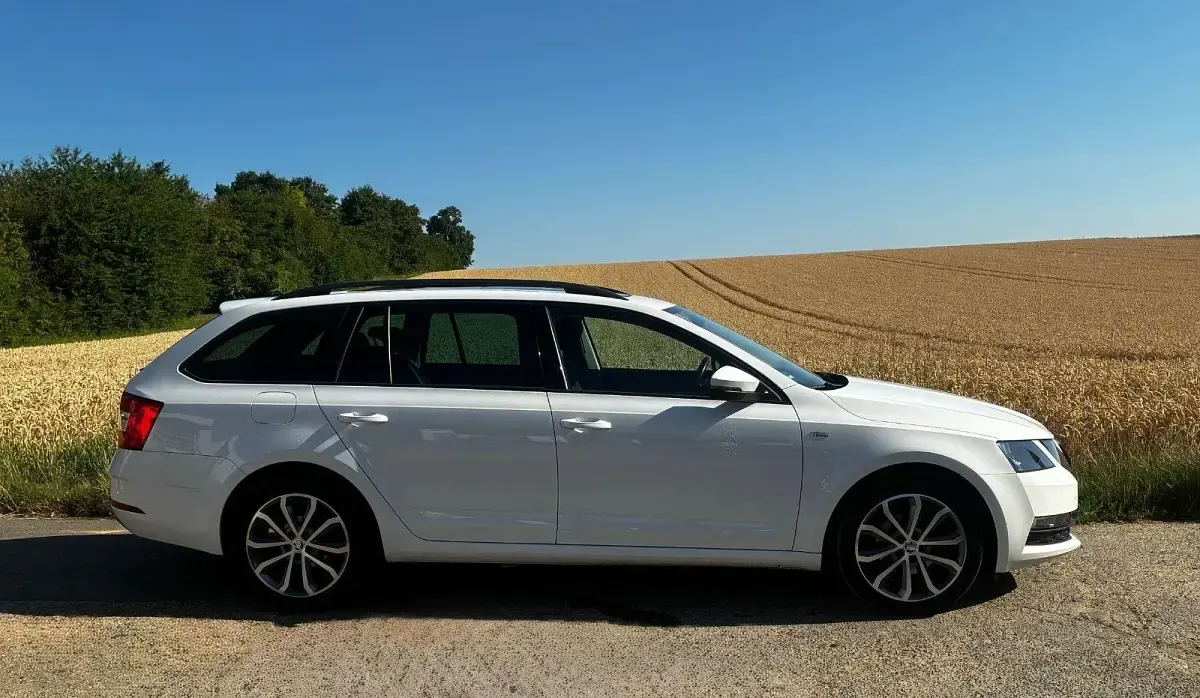 Gebraucht Skoda Octavia Soleil 116 PS (85 kW) 2019 Weiß Kombi