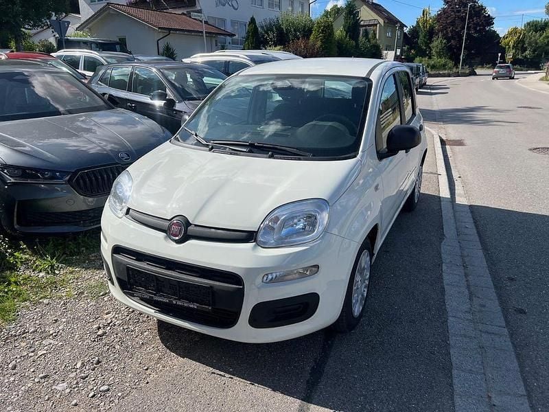 Neu Fiat Panda 69 PS (50 kW) 2025 Weiß Limousine