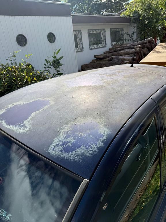 Gebraucht Renault Modus 86 PS (63 kW) 2005 Blau Van / Kleinbus