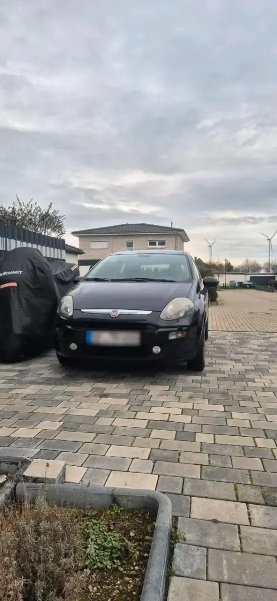 Gebraucht Fiat Punto Evo 69 PS (50 kW) 2011 Schwarz Kleinwagen