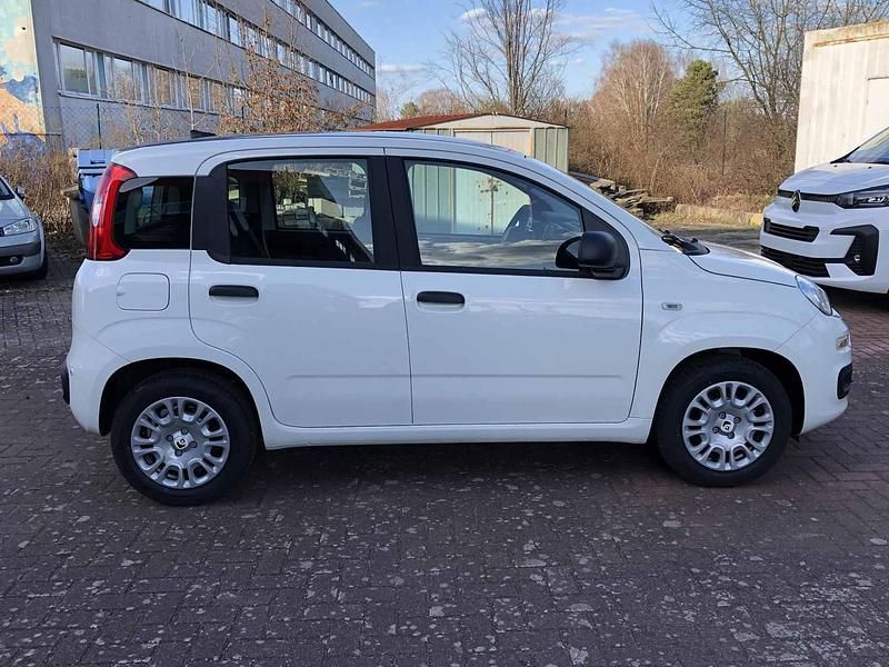 Neu Fiat Panda 69 PS (50 kW) 2026 Schwarz Kleinwagen