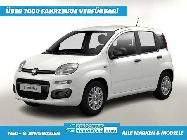 Gelato weiß Neu 2025 Fiat Panda S Kleinwagen | 15.052 € (Fairer Preis) - Bild 1/4