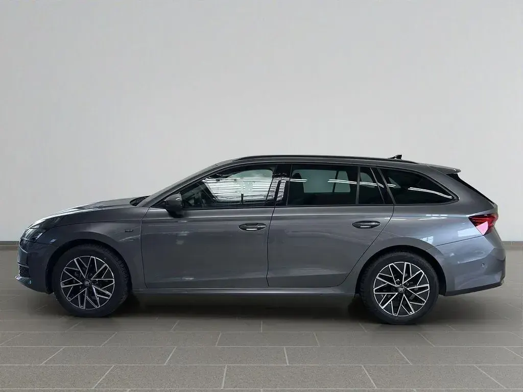 Gebraucht Skoda Octavia Selection 150 PS (110 kW) 2025 Graphitegrau metallic (metallic) Kombi