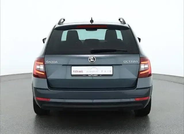 Gebraucht Skoda Octavia Tour 116 PS (85 kW) 2020 Grau Kombi