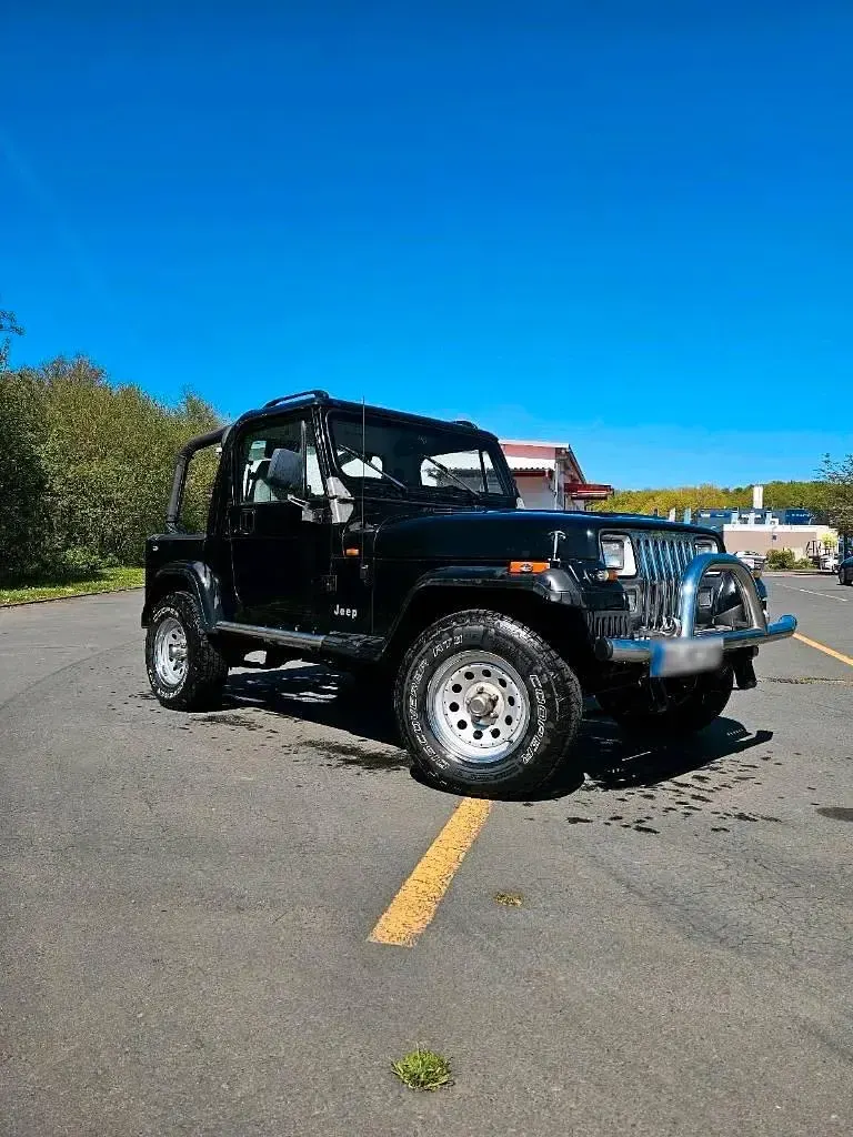 Gebraucht Jeep Wrangler 185 PS (136 kW) 1994 Schwarz SUV