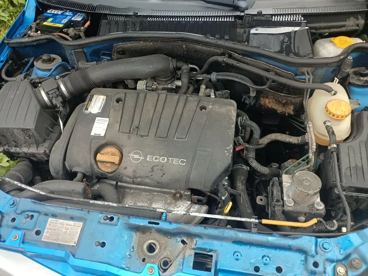 Używany Opel Tigra 125 KM (91 kW) 2005 Niebieski Kabriolet
