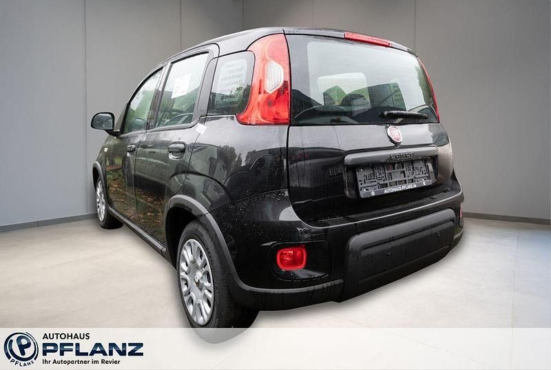 Neu Fiat Panda 69 PS (50 kW) 2025 Schwarz Kleinwagen