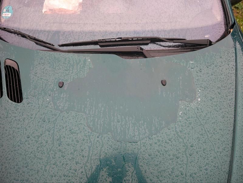 Gebraucht Peugeot 206 CC 108 PS (79 kW) 2003 Grün Cabrio