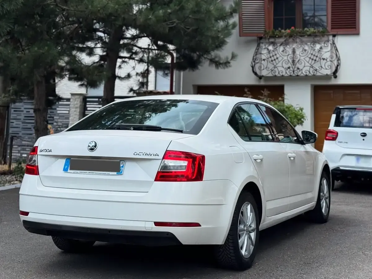 Gebraucht Skoda Octavia 115 PS (84 kW) 2019 Weiß Limousine