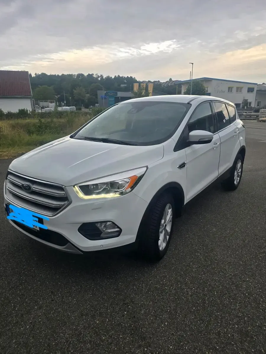 Gebraucht Ford Kuga 150 PS (110 kW) 2017 Weiß SUV