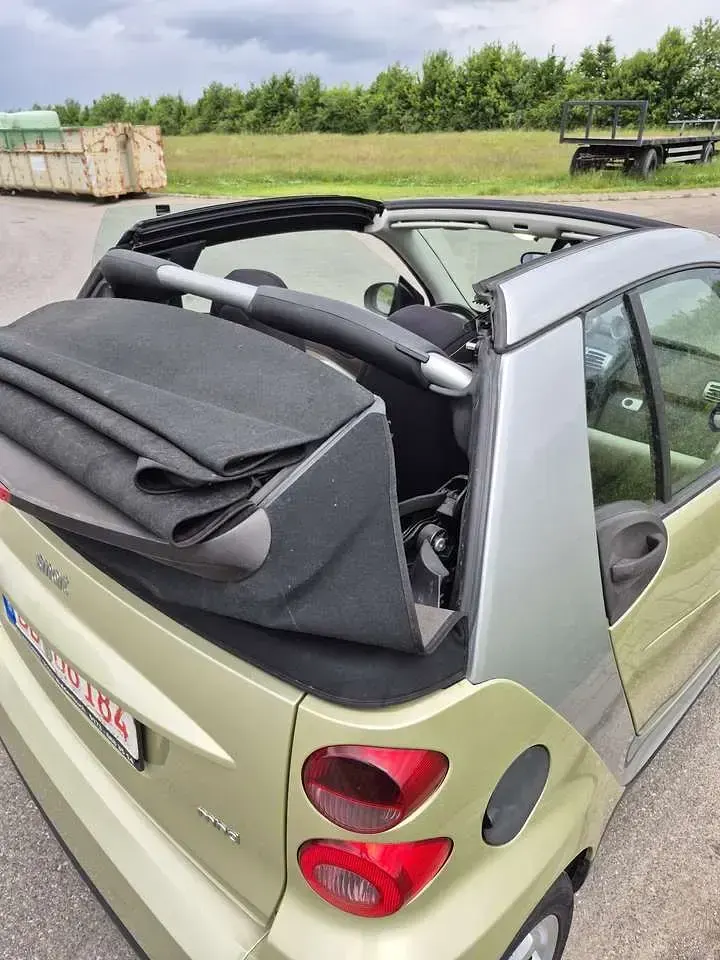 Gebraucht Smart ForTwo Cabrio 71 PS (52 kW) 2009 Cabrio