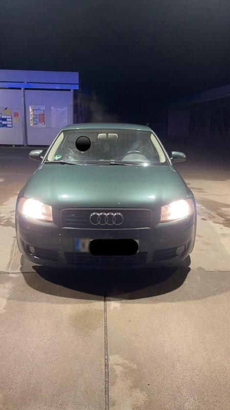 Gebraucht Audi A3 170 PS (125 kW) 2003 Grün Kleinwagen