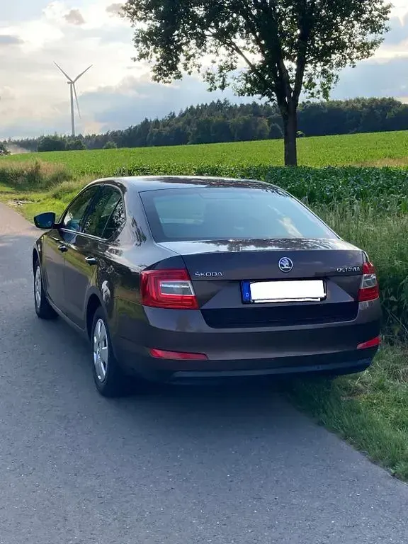 Gebraucht Skoda Octavia Active 86 PS (63 kW) 2014 Braun Kombi
