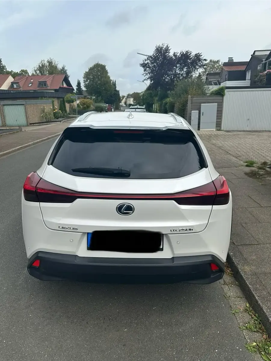 Gebraucht Lexus UX 152 PS (111 kW) 2020 Weiß SUV