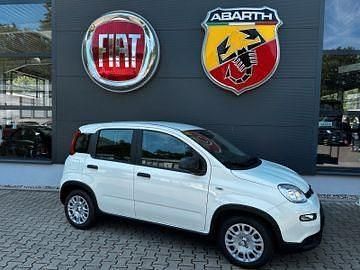 Neu Fiat Panda Icon 65 PS (47 kW) 2026 Weiß Limousine