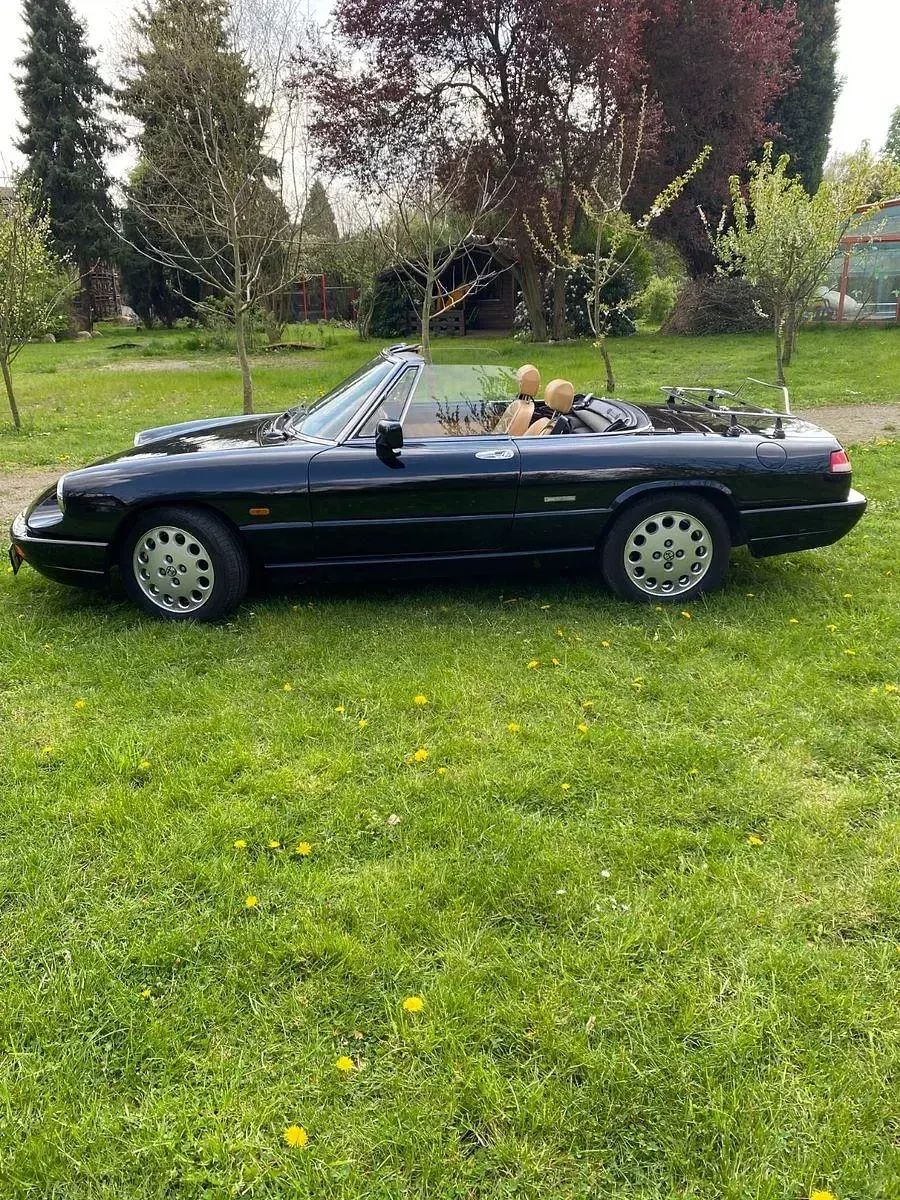 Gebraucht Alfa Romeo Spider 120 PS (88 kW) 1990 Schwarz Cabrio