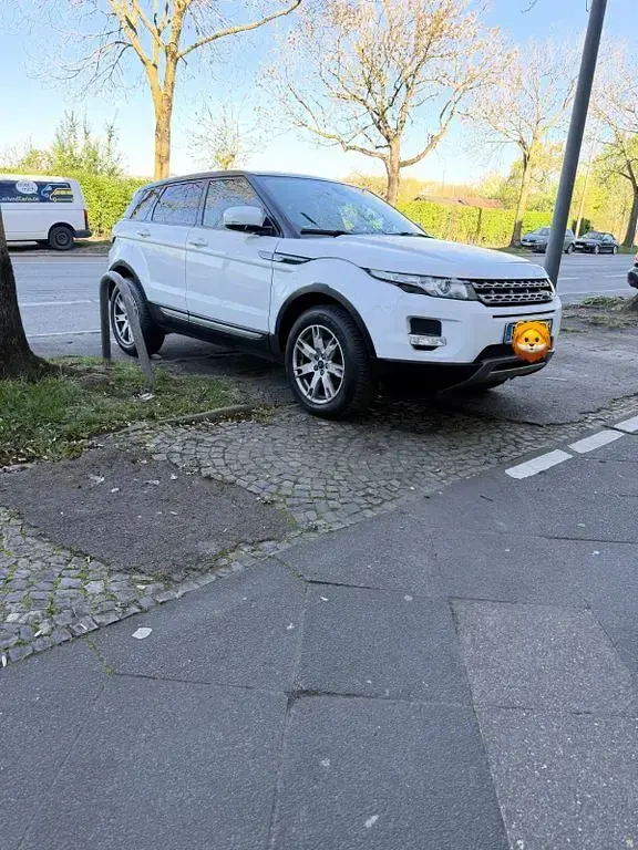 Gebraucht Land Rover Range Rover evoque 150 PS (110 kW) 2013 Weiß SUV