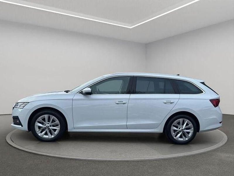 Gebraucht Skoda Octavia 150 PS (110 kW) 2024 Moonweissmet. Kombi