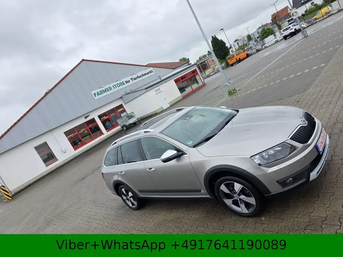 Gebraucht Skoda Octavia Scout 4x4 184 PS (135 kW) 2015 Beige Kombi