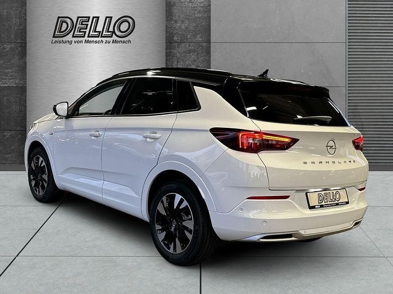Gebraucht Opel Grandland X Business 131 PS (96 kW) 2023 Jade weiss/arktis weiss SUV
