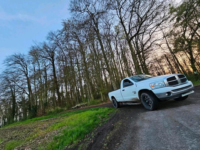 Gebraucht Dodge Ram 239 PS (175 kW) 2008 Weiß Pickup
