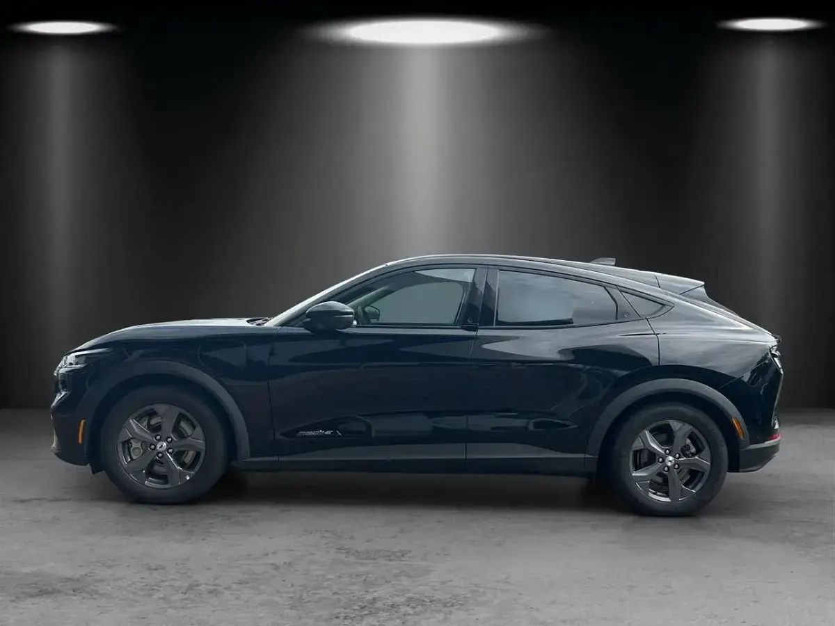 Gebraucht Ford Mustang Mach-E 216 kW (294 PS) 2023 Iridiumschwarz metallic SUV