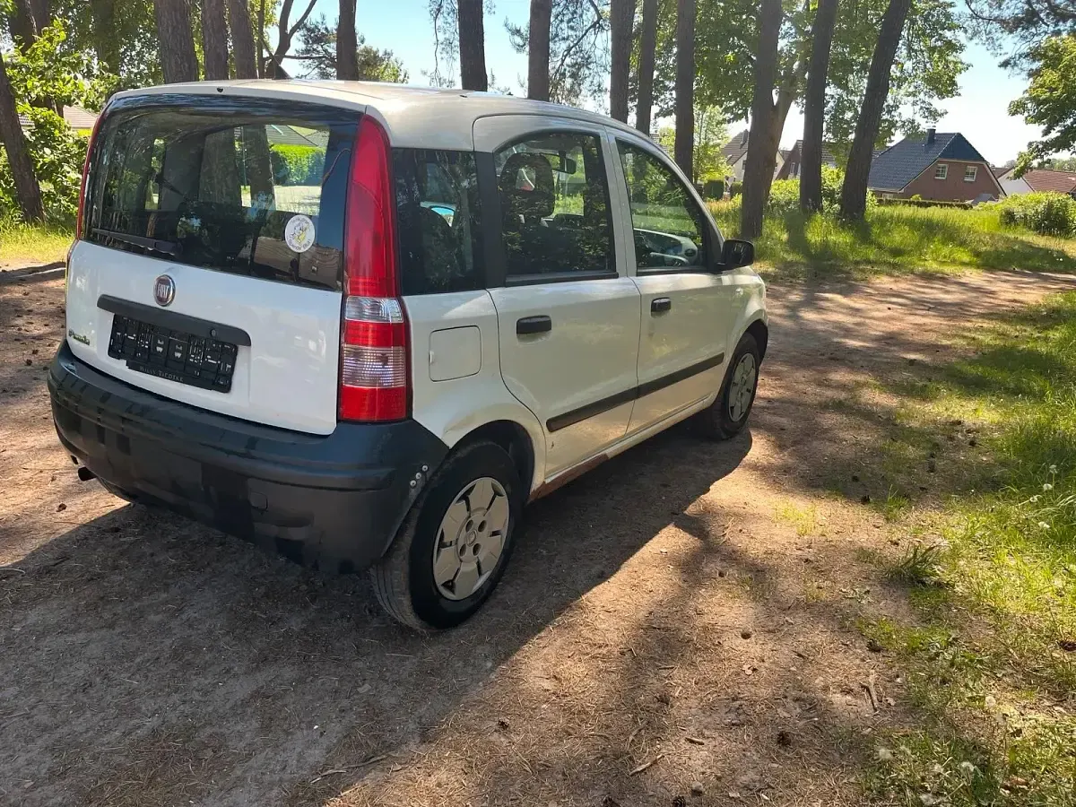 Gebraucht Fiat Panda 54 PS (39 kW) 2008 Weiß Kleinwagen