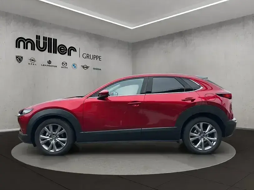 Gebraucht Mazda CX-30 Selection 122 PS (89 kW) 2019 Soul red crystal SUV