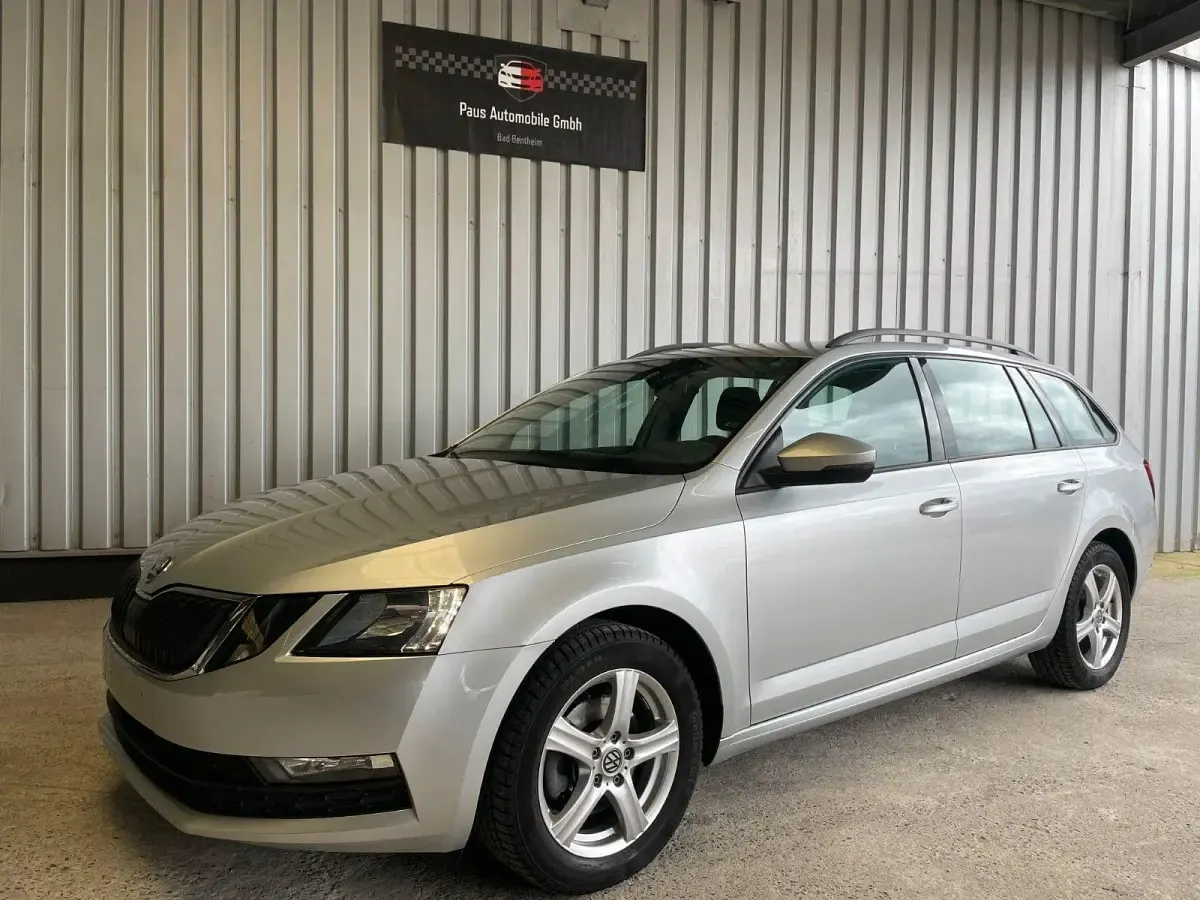 Gebraucht Skoda Octavia Ambition 116 PS (85 kW) 2018 Silber Kombi