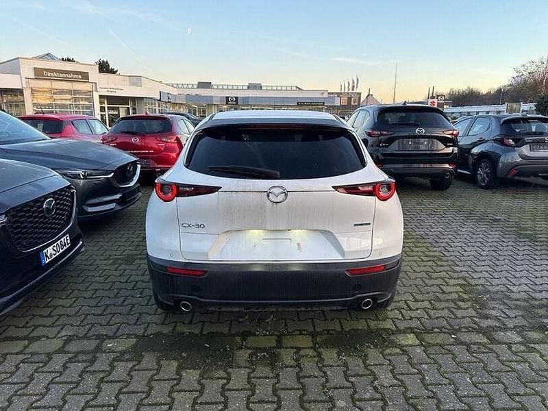 Gebraucht Mazda CX-30 Homura-Line 150 PS (110 kW) 2024 Snowflake white pearl SUV