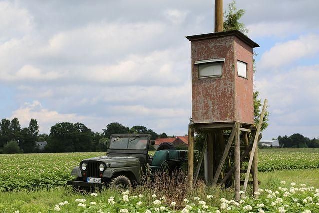 Gebraucht Jeep Willys 102 PS (75 kW) 1965 Grün
