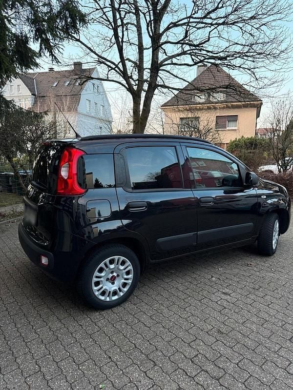 Gebraucht Fiat Panda Easy 69 PS (50 kW) 2020 Schwarz Kleinwagen