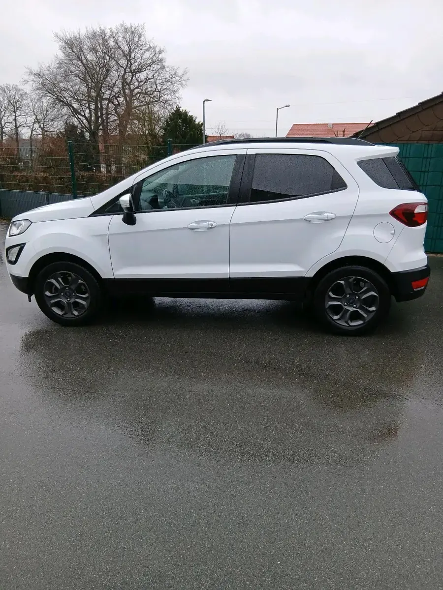 Gebraucht Ford Ecosport 125 PS (91 kW) 2018 Weiß SUV