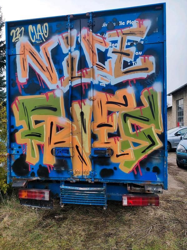 Gebraucht Mercedes Sprinter 130 PS (95 kW) 2001 Blau Van