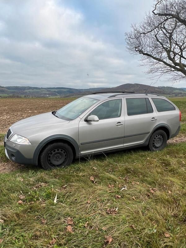 Gold Gebraucht 2008 Skoda Octavia Kombi | 4.300 € (Teuer) - Bild 1/4