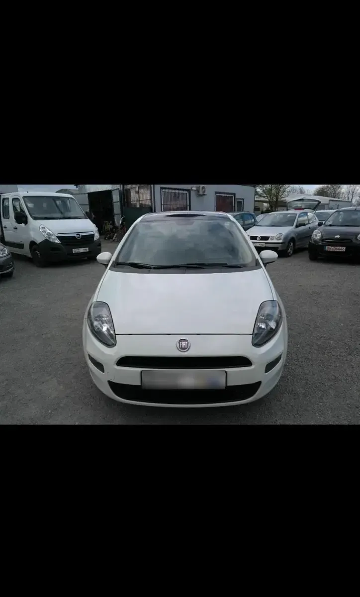 Gebraucht Fiat Punto Evo 69 PS (50 kW) 2012 Weiß Kleinwagen