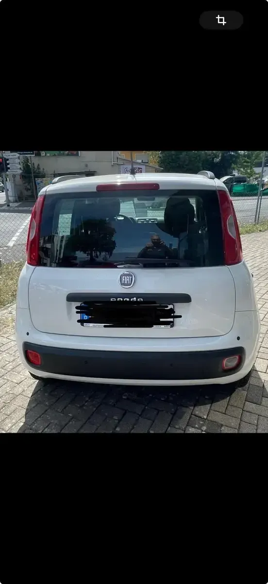 Gebraucht Fiat Panda 69 PS (50 kW) 2013 Weiß Kleinwagen