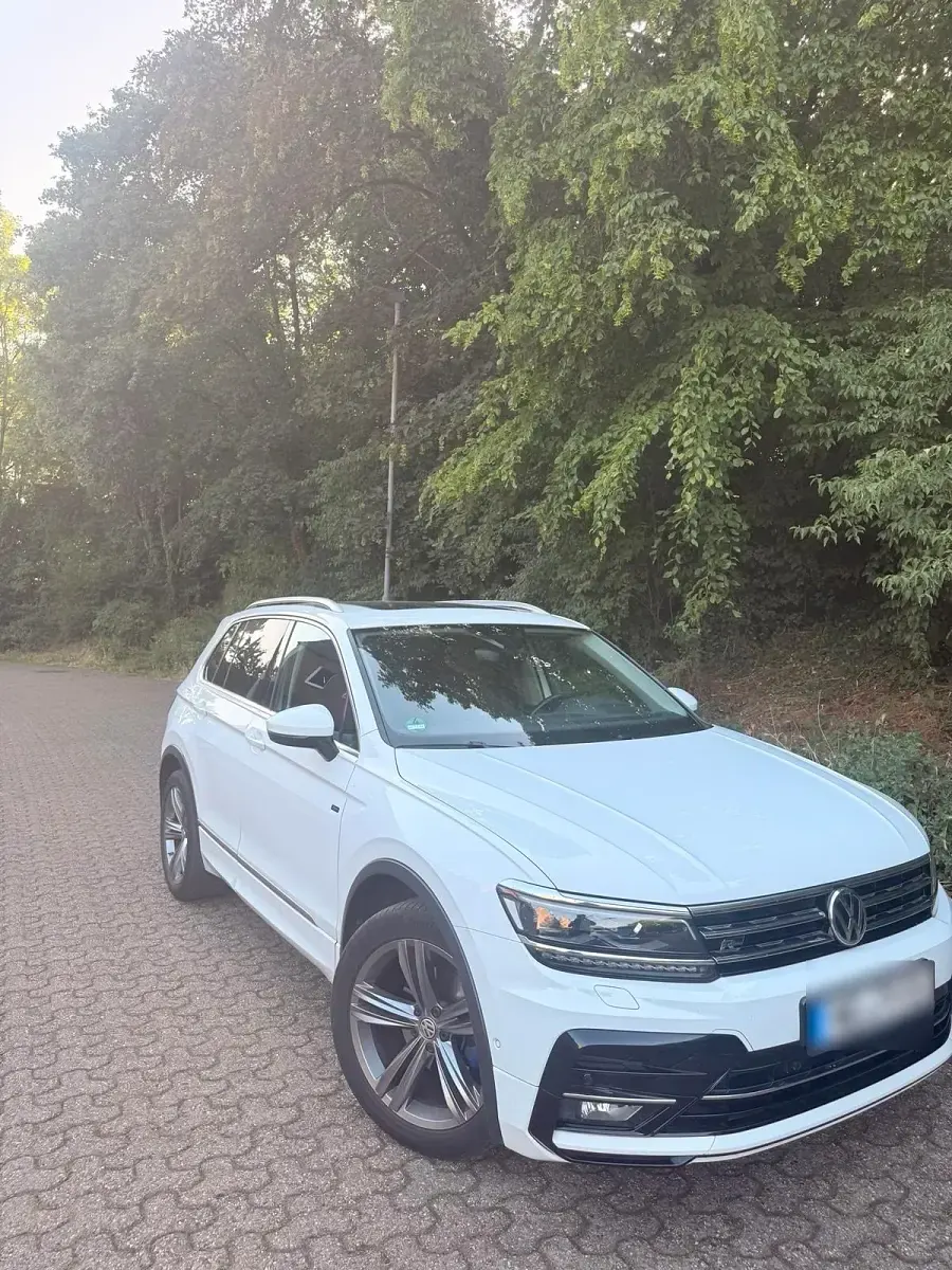 Gebraucht VW Tiguan R-line 150 PS (110 kW) 2019 Weiß SUV