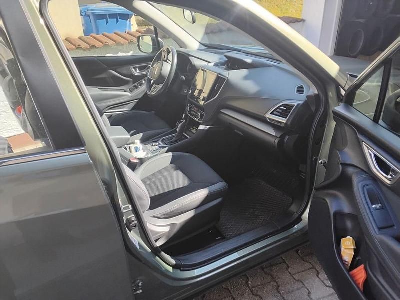 Gebraucht Subaru Forester Trend 150 PS (110 kW) 2020 Grün SUV