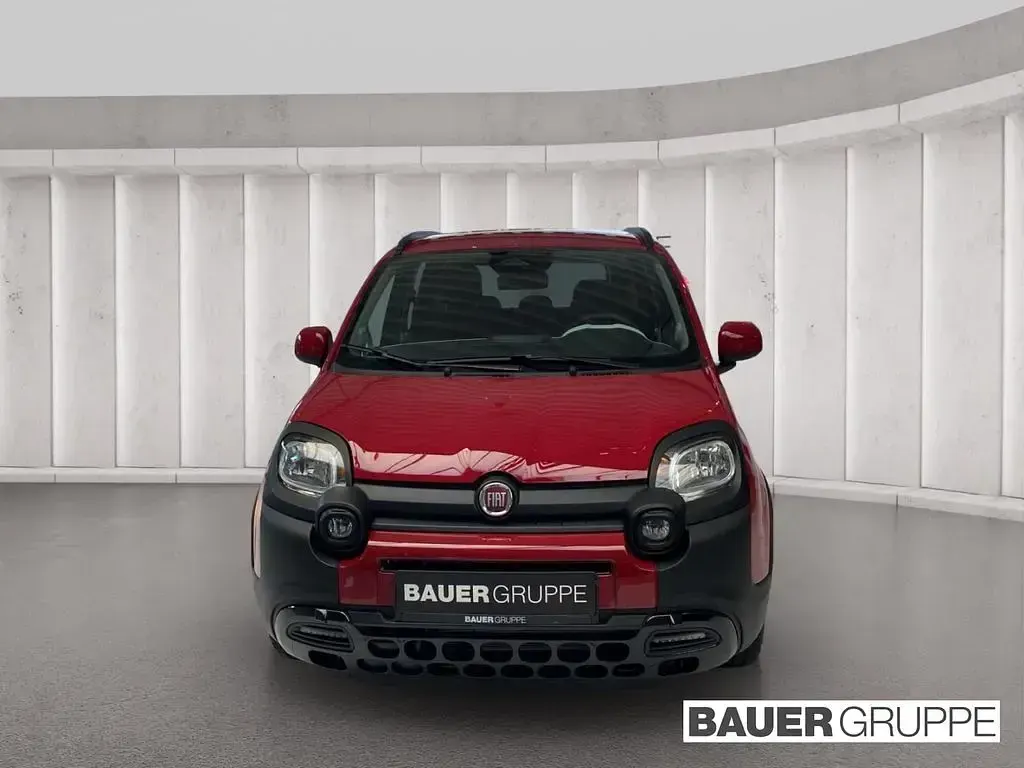 Neu Fiat Panda Cross Cross 65 PS (47 kW) 2026 Rot Kleinwagen