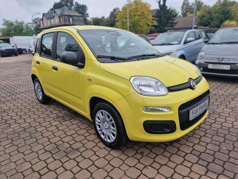 Neu Fiat Panda Icon 69 PS (50 kW) 2025 Positanogelb Kleinwagen