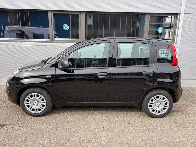 Neu Fiat Panda Icon 65 PS (47 kW) 2026 Schwarz Kleinwagen