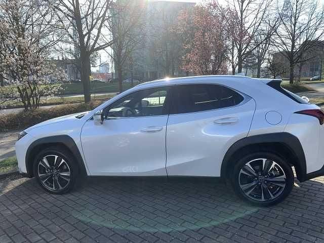 Gebraucht Lexus UX 184 PS (135 kW) 2023 SUV
