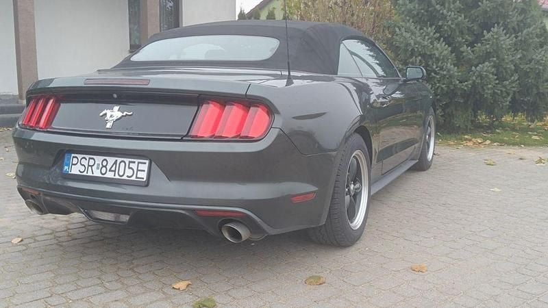 Gebraucht Ford Mustang Convertible 305 PS (224 kW) 2015 Grün Cabrio