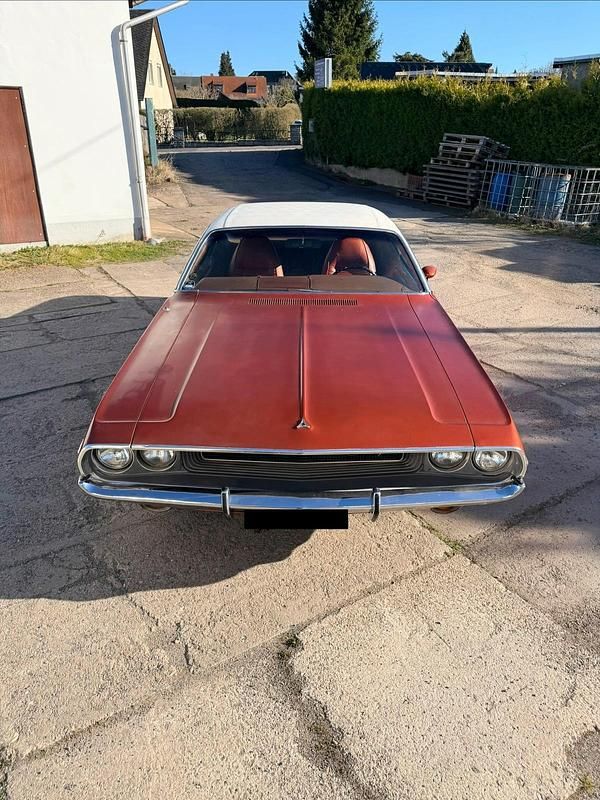 Usata Dodge Challenger 335 CV (246 kW) 1969 Marrone Coupé