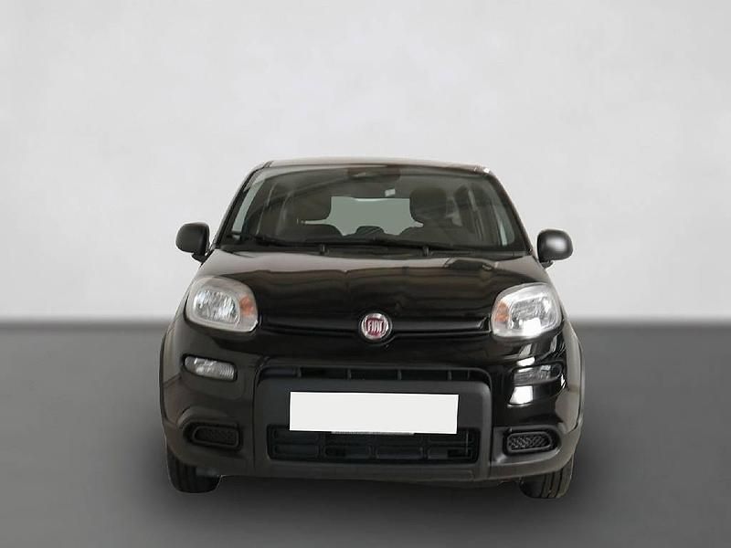 Gebraucht Fiat Panda 69 PS (50 kW) 2024 Schwarz Limousine