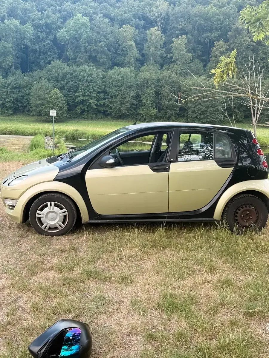 Gebraucht Smart ForFour 55 PS (40 kW) 2004 Grün Kleinwagen