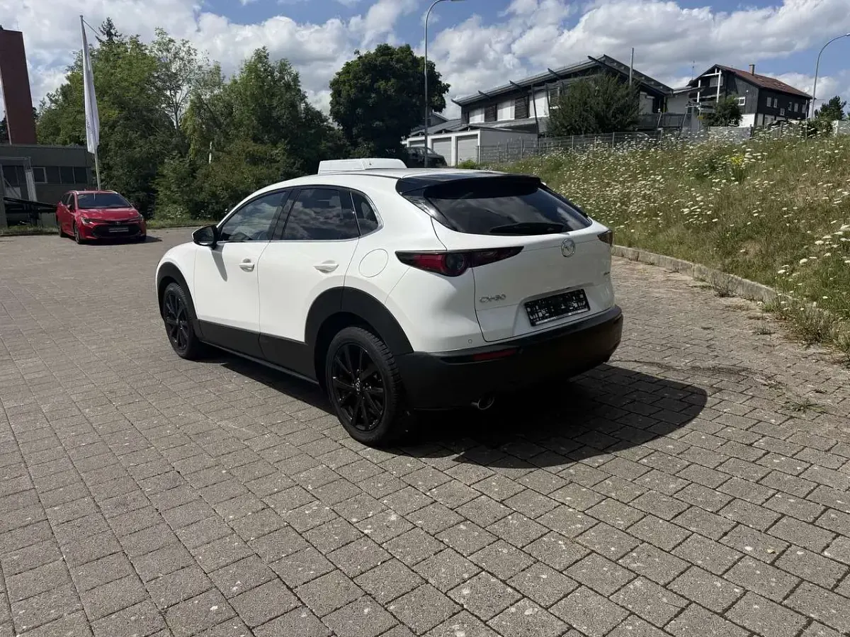 Gebraucht Mazda CX-30 Selection 179 PS (131 kW) 2022 Snowflake white pearl SUV